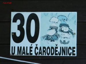 dscf6004.jpg