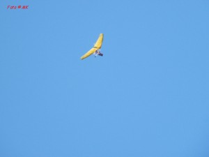 dscf5970.jpg