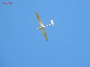 dscf5985.jpg