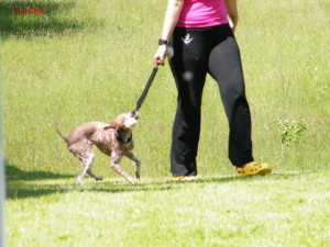 dscf6173.jpg